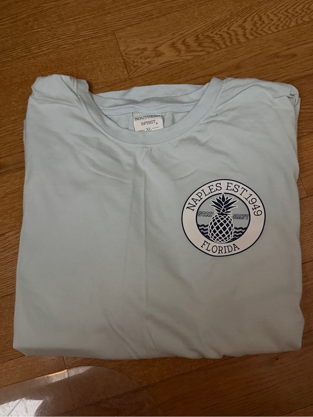 Southern Spirit Naples Pineapple Short Sleeve Tee - Light Blue